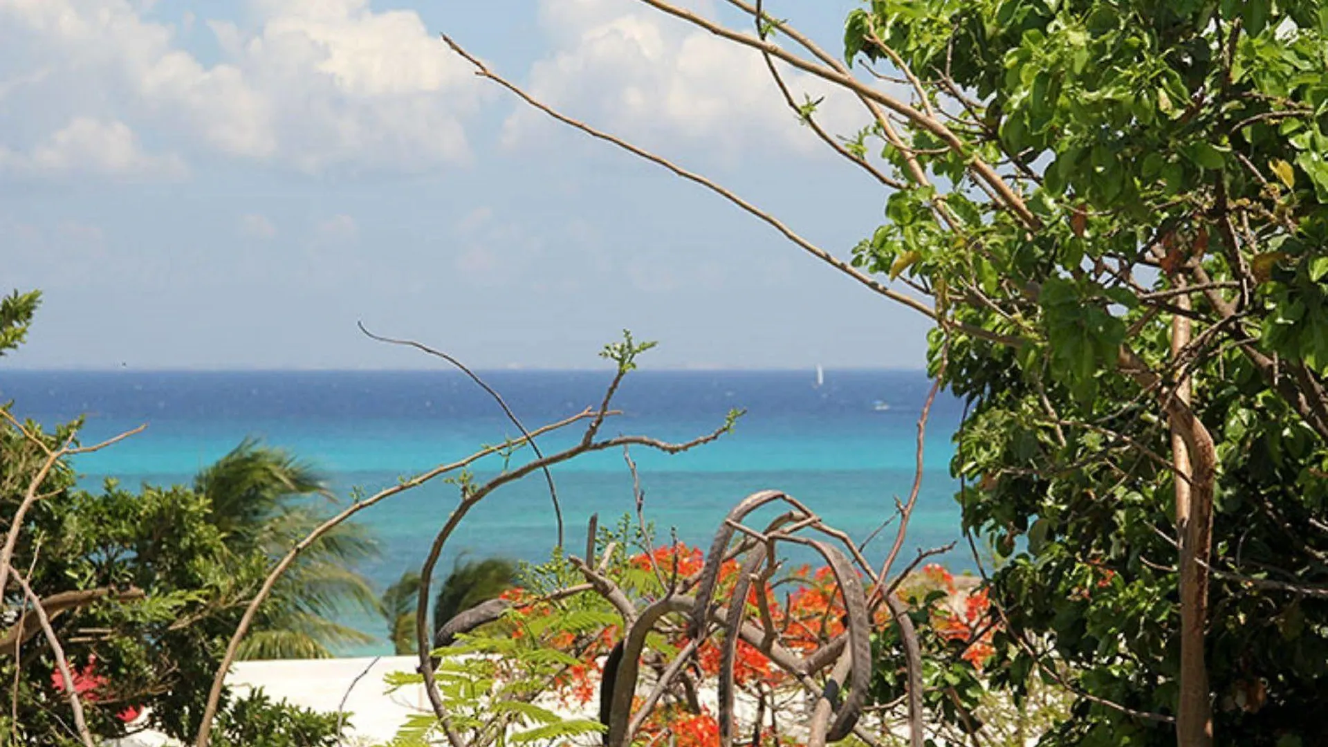 El Secreto Hotel Playa del Carmen 2*,  Mexico